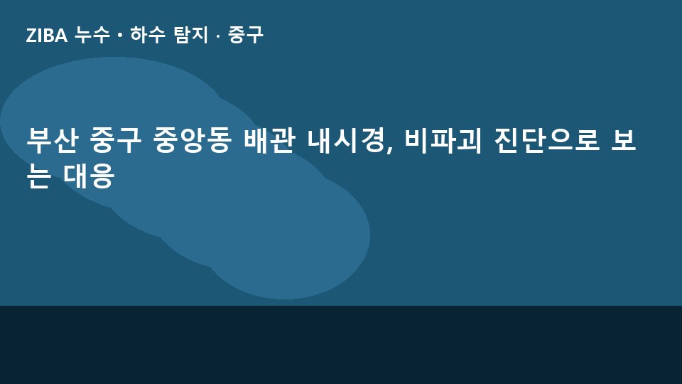 부산 중구 중앙동 배관 내시경, 비파괴 진단으로 보는 대응