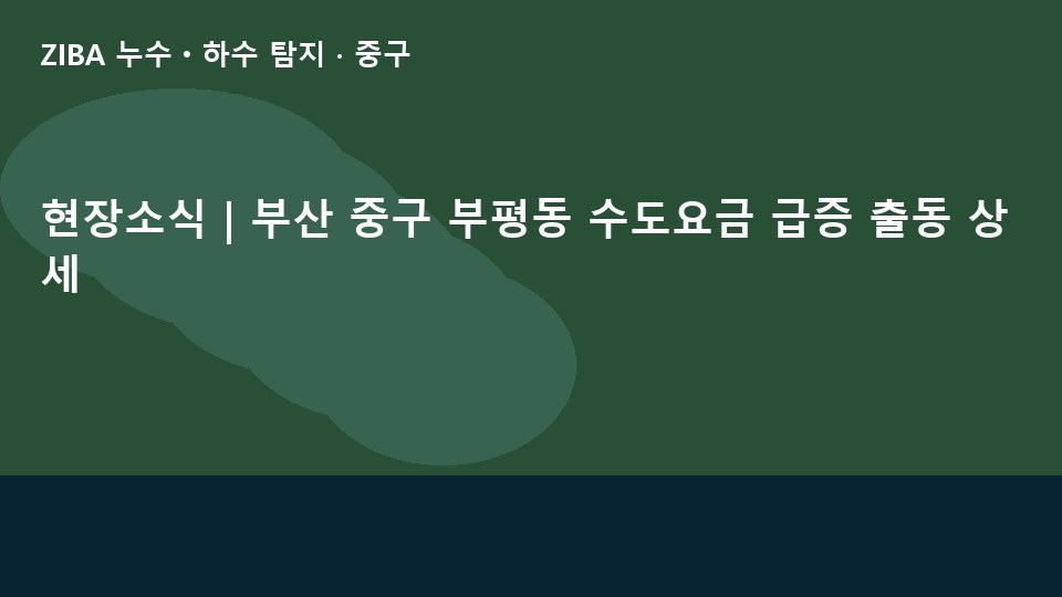 현장소식 | 부산 중구 부평동 수도요금 급증 출동 상세