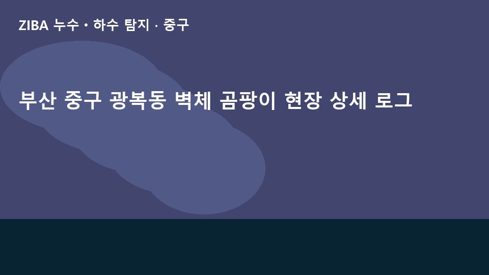 부산 중구 광복동 벽체 곰팡이 현장 상세 로그