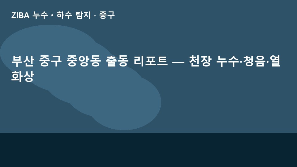 부산 중구 중앙동 출동 리포트 — 천장 누수·청음·열화상