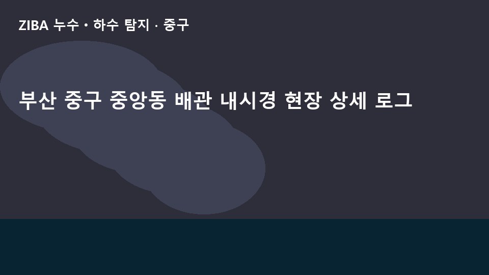 부산 중구 중앙동 배관 내시경 현장 상세 로그